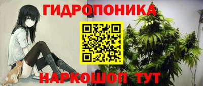 ешки Рязань