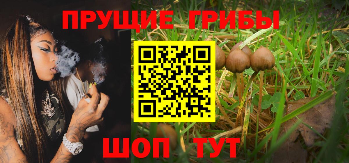 Семёнов  Галлюциногенные грибы Psilocybe  Вход с VPN  купить наркоту  Галлюциногенные грибы MAGIC MUSHROOMS 