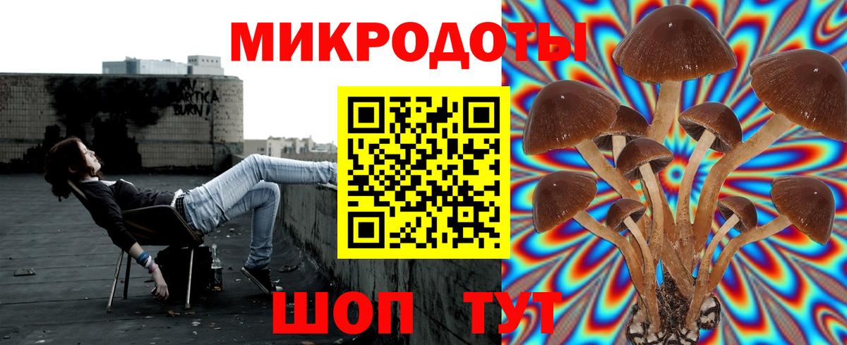 Псилоцибиновые грибы мицелий Семёнов